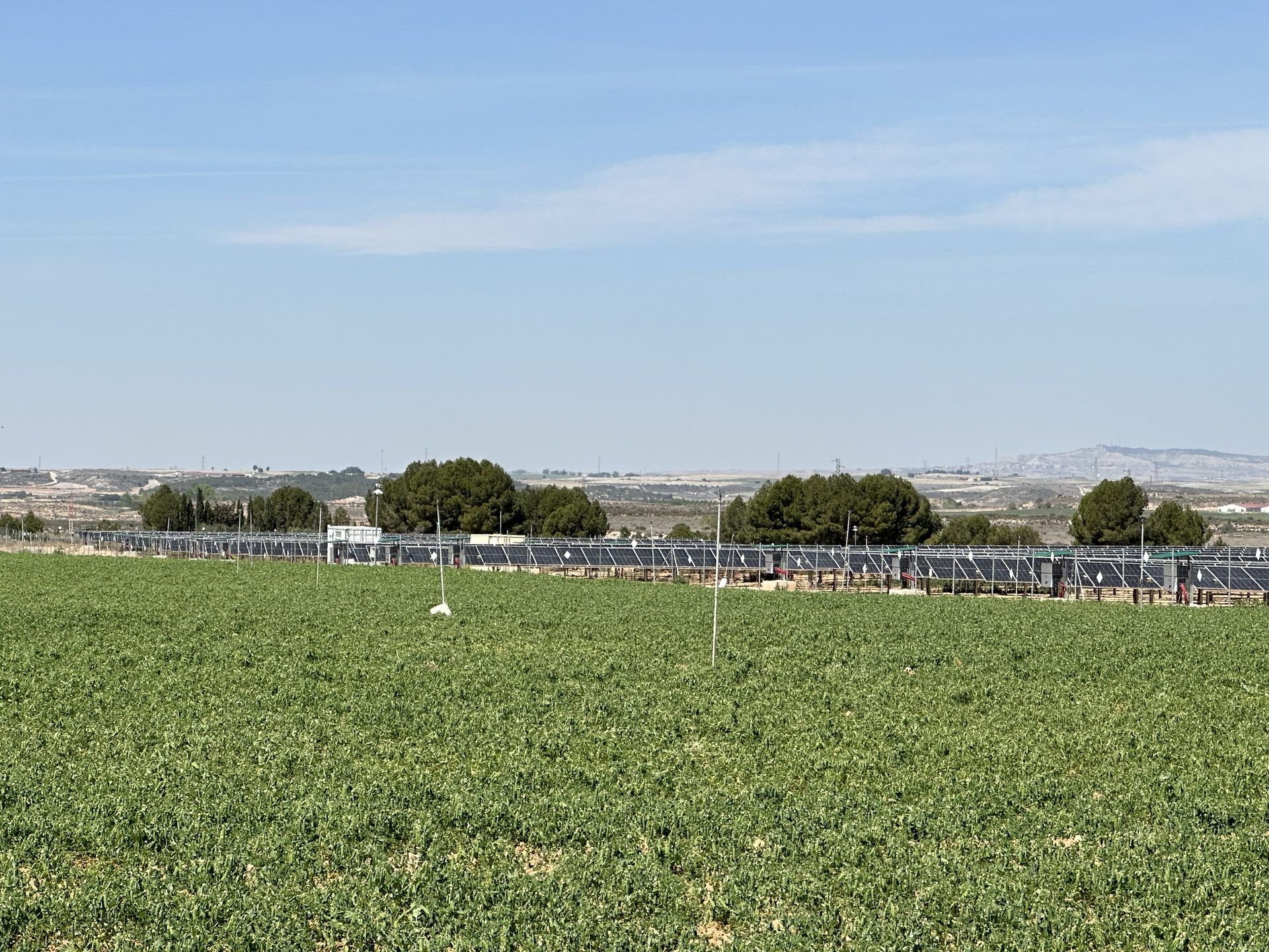 Green crops in front of the Candasnos solar plant